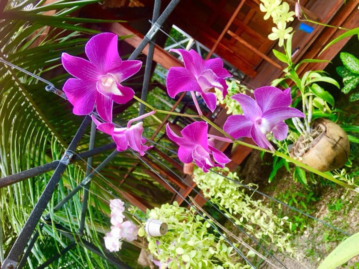 Lanta A Toi House Hotel Koh Lanta Luaran gambar