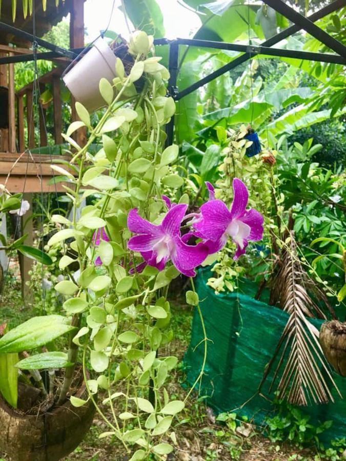 Lanta A Toi House Hotel Koh Lanta Luaran gambar