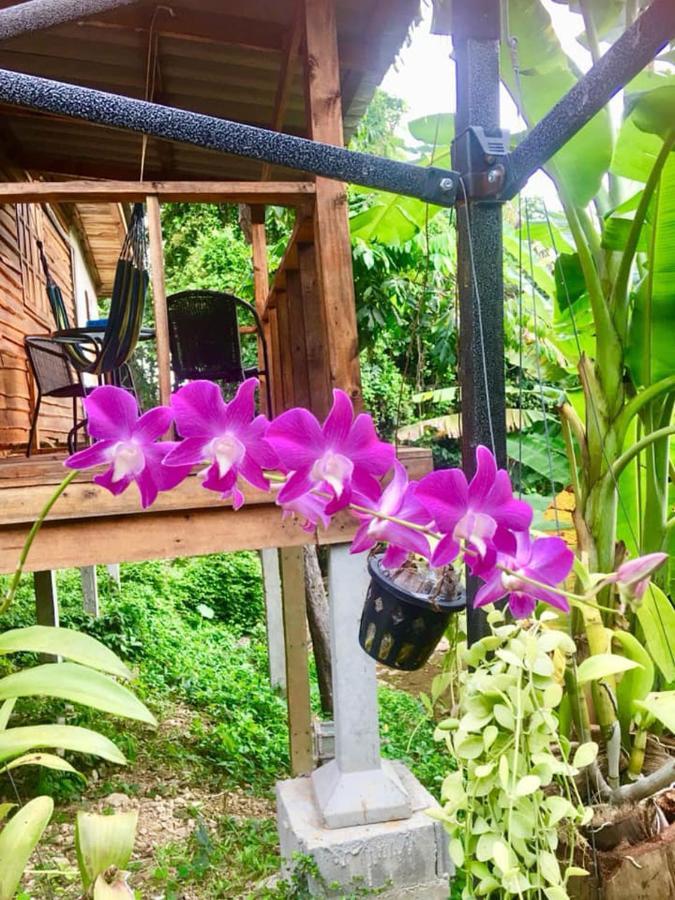 Lanta A Toi House Hotel Koh Lanta Luaran gambar